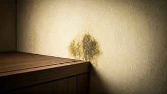 Dampness Is The Hidden Decor Villain
