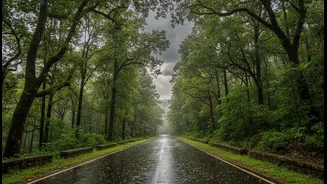 How to plan a secure road trip through Western Ghats monsoon downpours