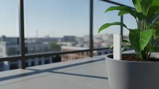 How IoT Sensors Guard Balcony Plants Against Overwatering Damage In City Apartments