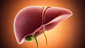 Sugar's Sneaky Impact: Effects of Daily Intake