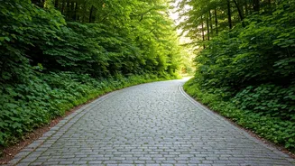 Walking for Health: Steps to a Longer Life