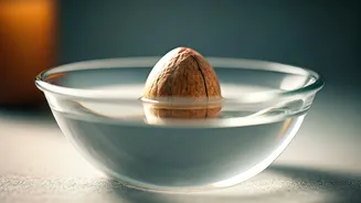 Unlock Luscious Locks: The Magic of Avocado Pit Water for Hair Growth