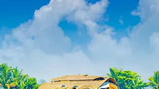 Offbeat Kerala Backwaters Why Kumarakom Beats Expensive Alleppey Houseboat Cruise Options