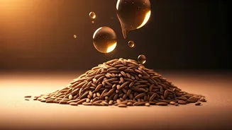 Your Skin Barrier Might Like Rice Bran
