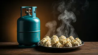 LPG Cylinder for 50 Momos: India's Quirky Viral Deal Revives Barter System Talk