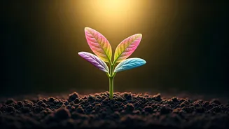 Related Stories banner