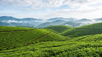 Hill Stations And September Rain: How To Plan Around Changing Conditions