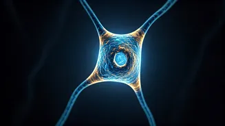 Unlock Peak Focus: 5 Powerful Visualization Breaks for Enhanced Productivity