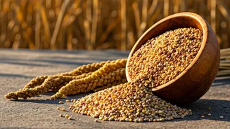 Millets Are More Than A Trendy Grain