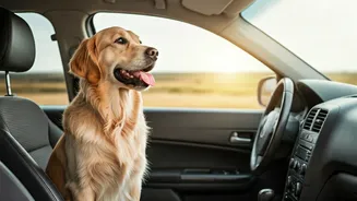 Pet-Friendly Holidays Are No Longer A Cute Extra