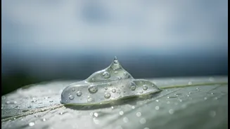 How Indian Skincare Users and Monsoon Commuters Can Respond to Cloudy-Day Sunscreen During the Monsoon