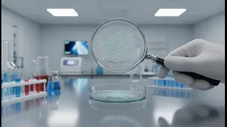 Good Evidence Can Make A Hygiene Complaint Easier To Investigate