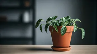 10 Subtle Signs of Low Self-Respect and How to Cultivate Inner Worth