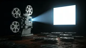 Dhurandhar's Box Office Battle: A Detailed Analysis