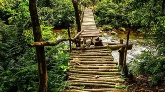How To Plan Driving Routes From Bangalore To Agumbe Rainforest Photography Destinations