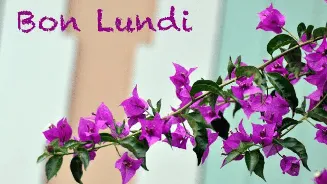 Bon Ludi mindset: Therapist‑approved ways to turn dreaded Mondays into your best day