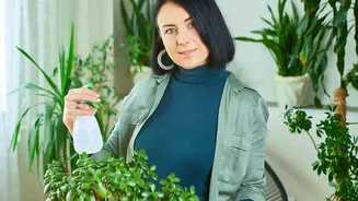 Microbial Soil Sensors Help Home Gardeners Avoid Overwatering Balcony Plants Daily