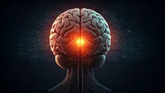 AI Revolution Forces Professionals To Upskill Fast