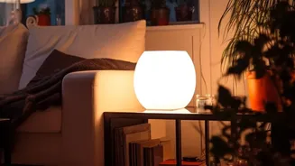 Adjusting Indoor Room Lights After Sunset Supports Shift Worker Circadian Rhythm Health