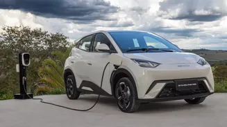 BYD Dolphin Mini desbanca gigantes e entra para o top 7 dos carros mais vendidos do Brasil