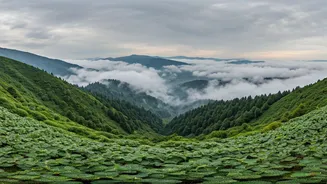 Cloudy Hills Give North India A Stunning Upgrade