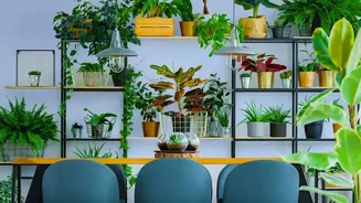 Urban Indian Homes Are Moving Away From Perfect Showroom Looks Towards Personal Interiors