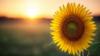 Transforming Breakups: Embrace Self-Love and Rise Above Misery