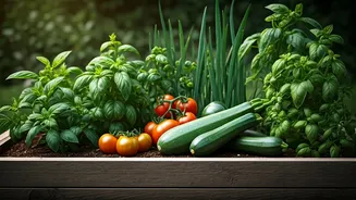 Edible Gardening Gets Practical With June-Friendly Crops
