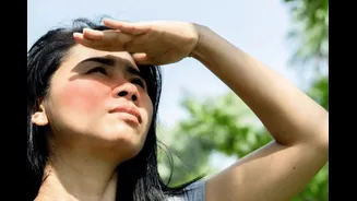 Rising Temperatures, Rising Risks: Doctors Decode The Health Emergency Behind Heatwaves