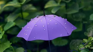 Monsoon Trips: Simple Ways To Reduce Gadget Water Damage