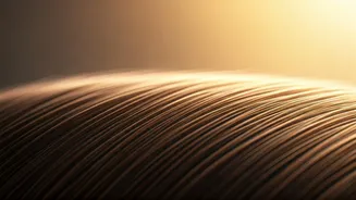 Related Stories banner