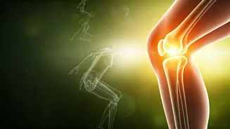 New Yoga Day Theme Inspires Youth To Protect Joints