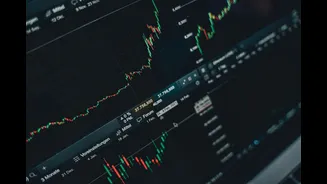 Monday market wrap: what June's below-normal rainfall forecast means for farm and FMCG stocks