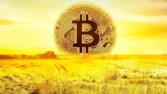 Why Crypto Being Taxed In India Does Not Make It A Fully Regulated Asset