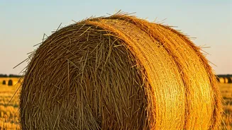 Investing: Jack Bogle's Simple Wisdom for Financial Success