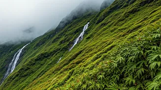 Monsoon Treks Every Adventure Lover Must Experience