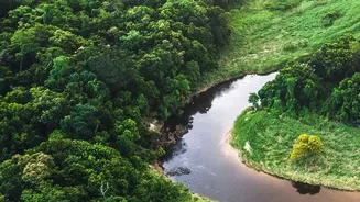 Scientists Assess How India's Forests Respond To Evolving Rainfall Patterns