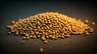 Unlock Vitality: The Nutritional Powerhouse of African Safflower Seeds