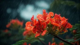 These Monsoon Blooms Never Disappoint