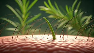 Alopecia Areata: 5 Natural Home Remedies for Hair Regrowth & Scalp Care