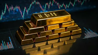 Unveiling India's Investment Landscape: Smart Tools & Ideas