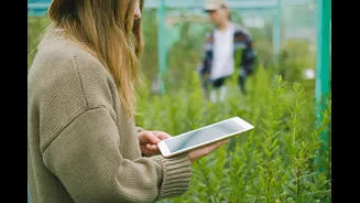 How AI is Transforming Indian Agriculture