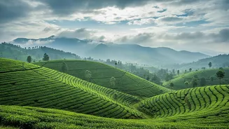 Weekend Monsoon Escapes Are Boosting Interest In Flexible Travel Protection
