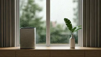 Easy Monsoon Fixes For A Fresher Home