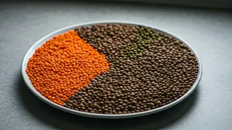 Stop Calorie Counting And Build Color Coded Lentil Macro Plates