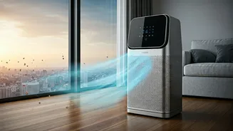 Breathing Easy: Understanding Air Purifiers in NCR Homes