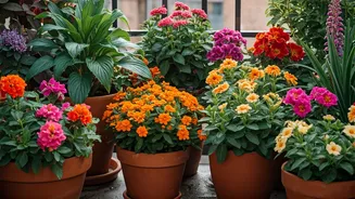 Balcony Gardens Are Getting A Pre-Monsoon Colour Pop