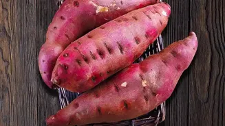 India's Purple Potato Highlights The Potential Of Nutrient-Focused Crop Breeding