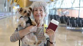 Alerta aos tutores: os cuidados obrigatórios para viajar com animais rumo à Copa do Mundo