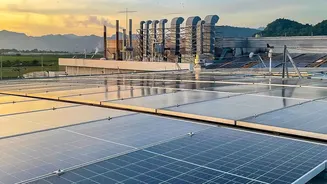 How Rural Rose Farmers Cut Spoilage Costs Using Solar Cold Chain Infrastructure